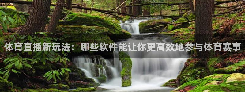 体育直播新玩法：哪些软件能让你更高效地参与体育赛事