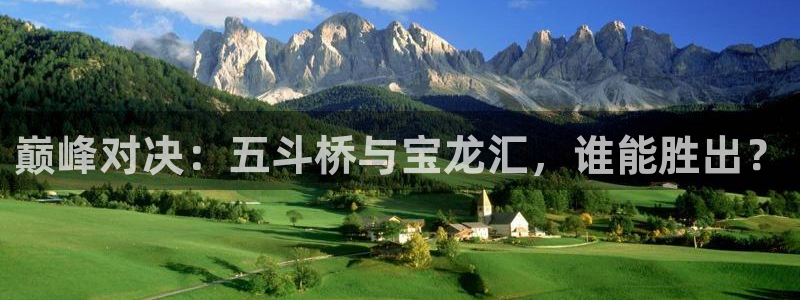 巅峰对决：五斗桥与宝龙汇，谁能胜出？