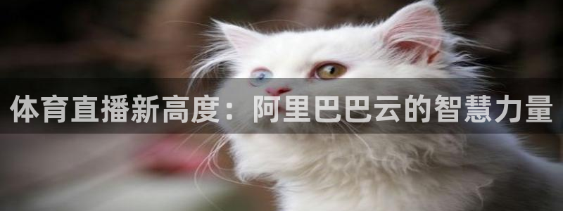 体育直播新高度：阿里巴巴云的智慧力量