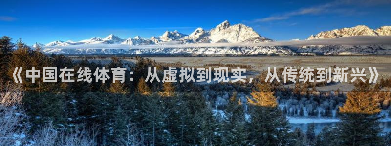 《中国在线体育：从虚拟到现实，从传统到新兴》
