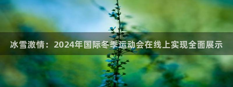 冰雪激情：2024年国际冬季运动会在线上实现全面展示