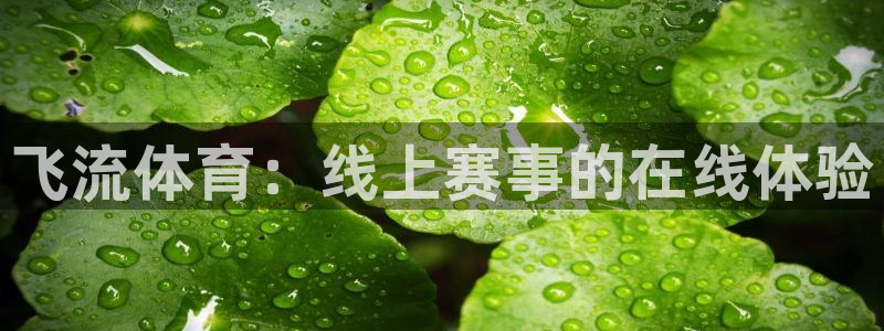 飞流体育：线上赛事的在线体验