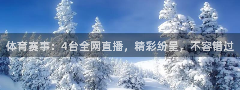 体育赛事：4台全网直播，精彩纷呈，不容错过