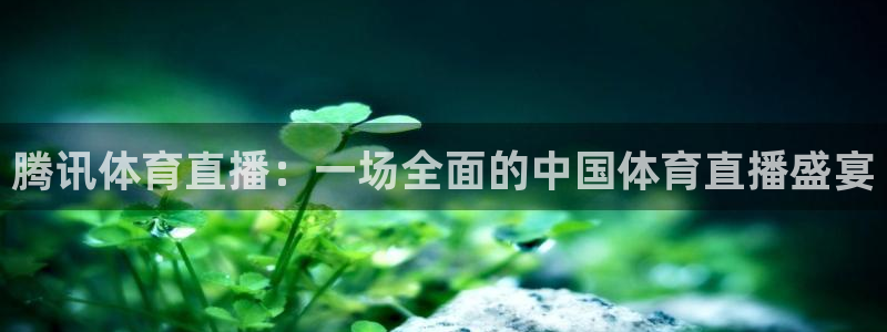 腾讯体育直播：一场全面的中国体育直播盛宴