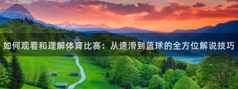 如何观看和理解体育比赛：从速滑到篮球的全方位解说技巧