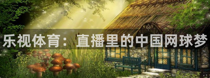 乐视体育：直播里的中国网球梦