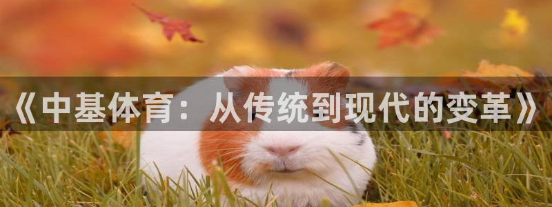 《中基体育：从传统到现代的变革》