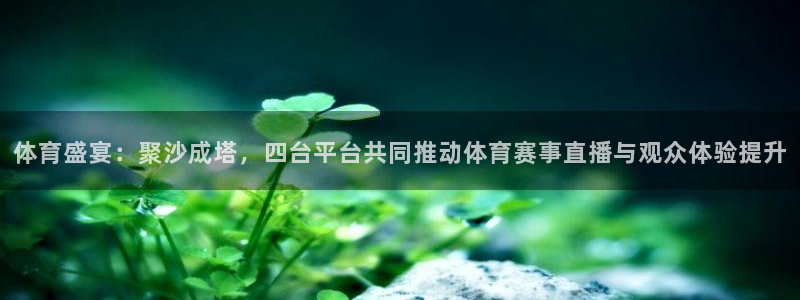 体育盛宴：聚沙成塔，四台平台共同推动体育赛事直播与观众体验提升