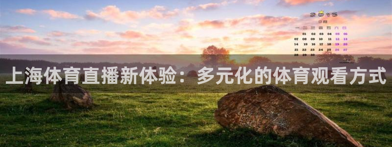 上海体育直播新体验：多元化的体育观看方式