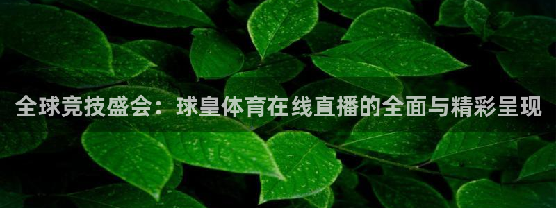 全球竞技盛会：球皇体育在线直播的全面与精彩呈现