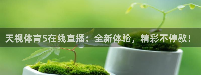 天视体育5在线直播：全新体验，精彩不停歇！