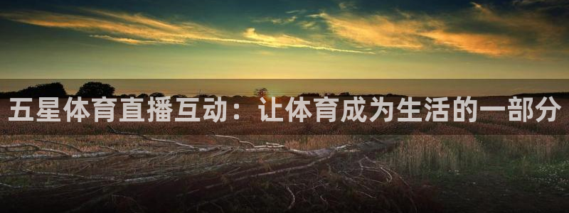 五星体育直播互动：让体育成为生活的一部分
